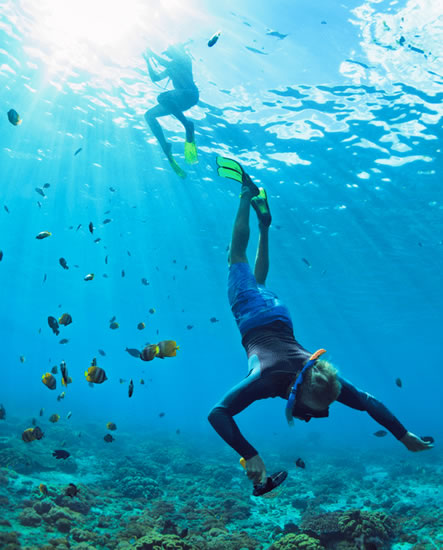 Snorkel Riviera Nayarit