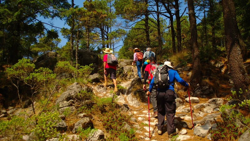 Caminata de Montaña Puerto Vallarta
