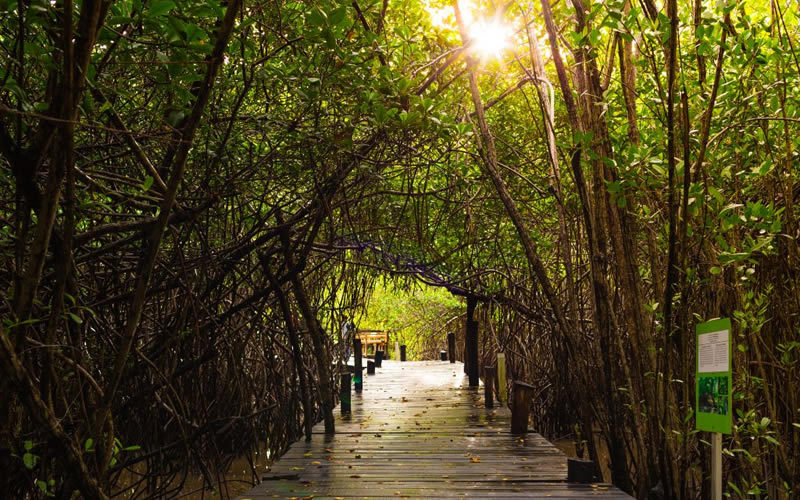 Estero el Salado Puerto Vallarta