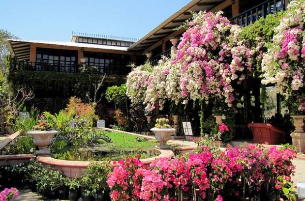 Jardín Botánico Puerto Vallarta