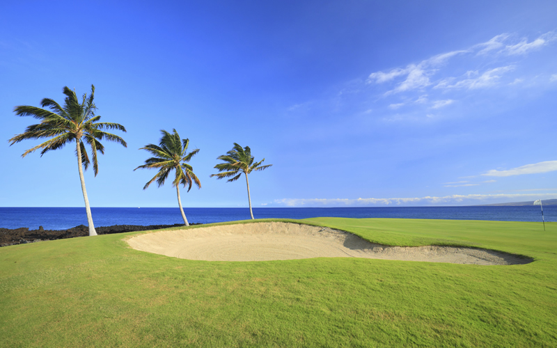 Campo de Golf Flamingos Nuevo Vallarta