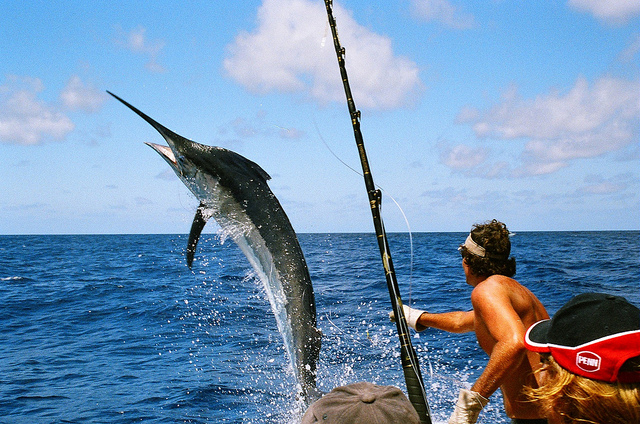 Tour Pesca Deportiva Puerto Vallarta